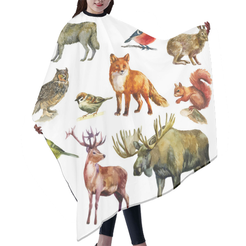 Personality  Watercolor Illustration, Set. Forest Animals And Birds. Squirrel, Wolf, Fox, Hare, Hedgehog, Deer, Elk, Bullfinch, Sparrow, Tit, Owl Hair Cutting Cape