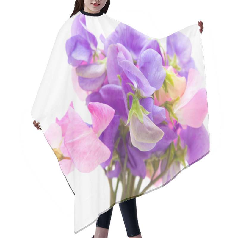 Personality  Sweet Pea Hair Cutting Cape