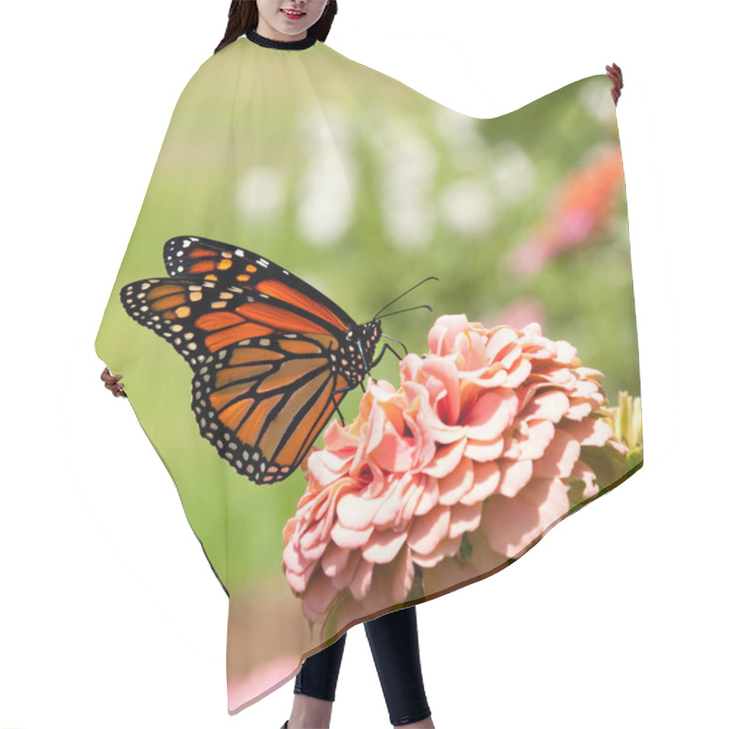 Personality  Monarch Butterfly On Pink Zinnia Hair Cutting Cape