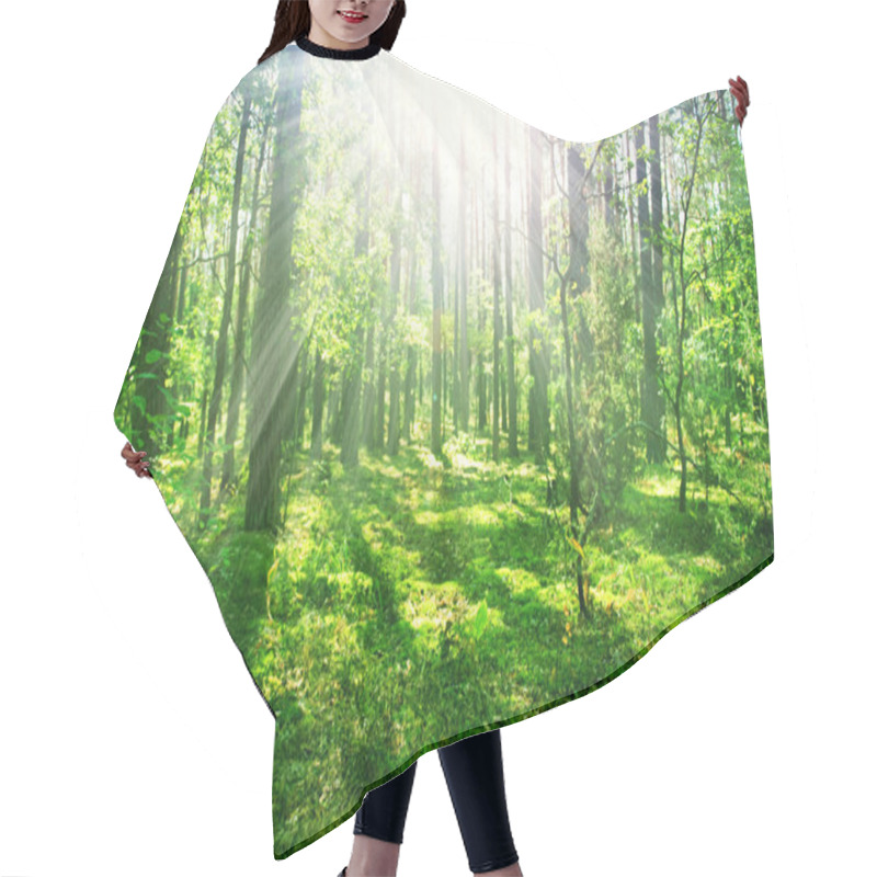 Personality  Misty Old Forest Hair Cutting Cape