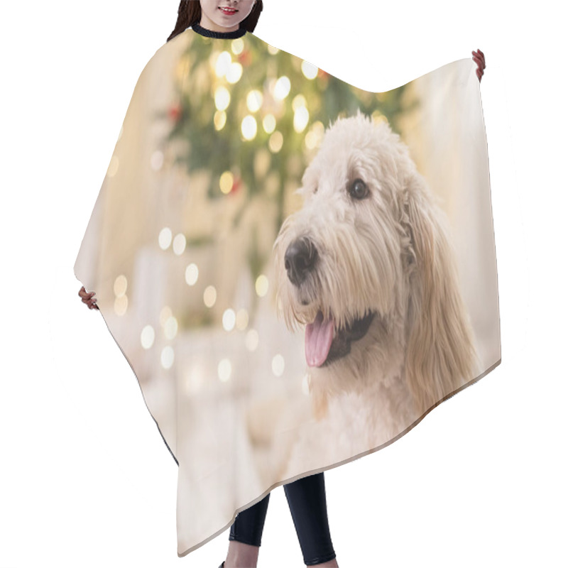 Personality  Happy Dog Smiling And Laying Down In Front Of Christmas Tree Hair Cutting Cape