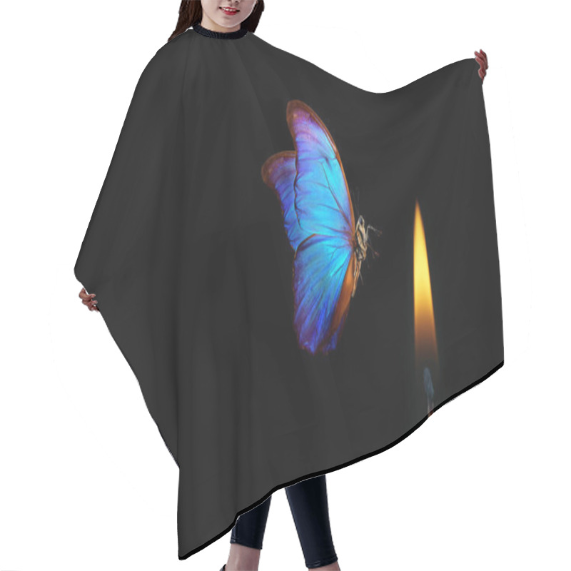 Personality  Butterfly Flying Into The Light Of A Candle. Bright Tropical Morpho Butterfly And Candle Flame On Black Background. Temptation And Danger Hair Cutting Cape