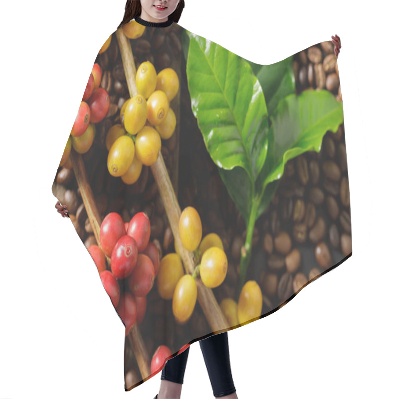 Personality  Coffee Beans On Coffee Green Leaves On Wooden Background, Fresh Coffee Beans On Wooden Background Hair Cutting Cape