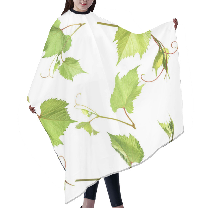 Personality  Set Of Grapevines With Green Leaves On White Background Hair Cutting Cape