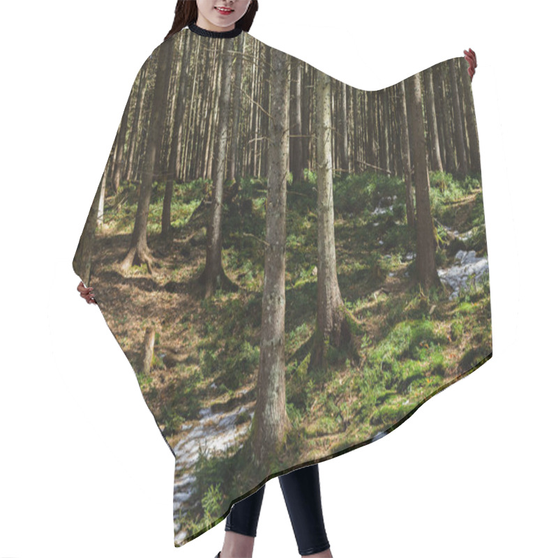 Personality  Snow On Hill In Mountain Forest  Hair Cutting Cape