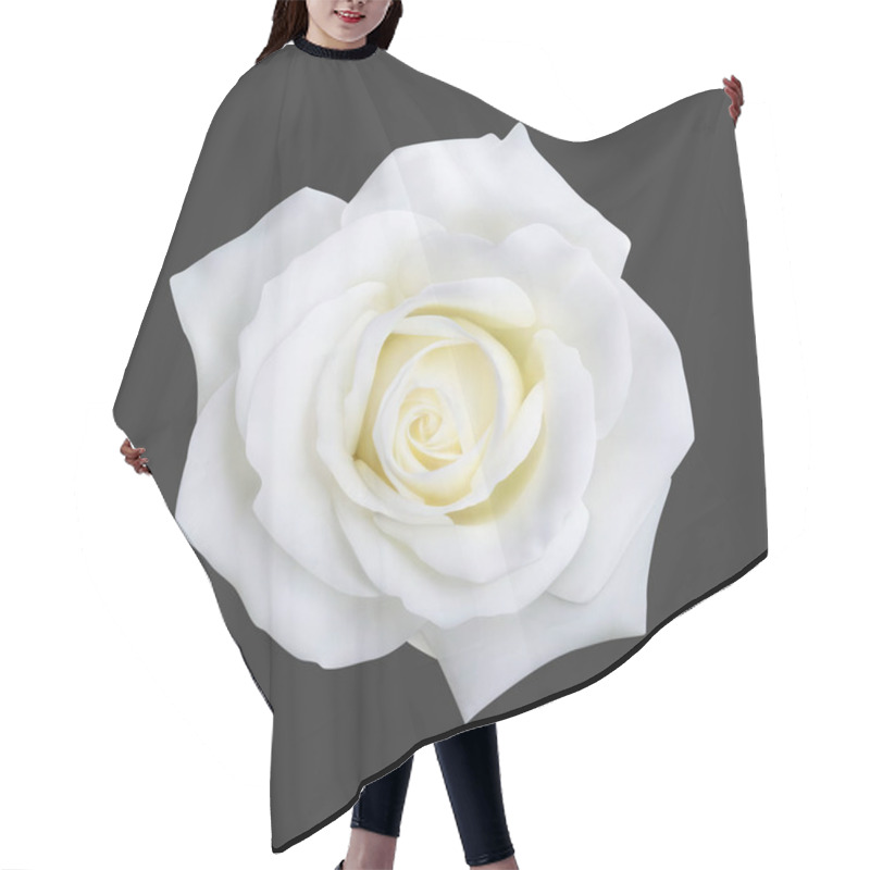 Personality  Realistic White Rose, Vector Illustration Hair Cutting Cape