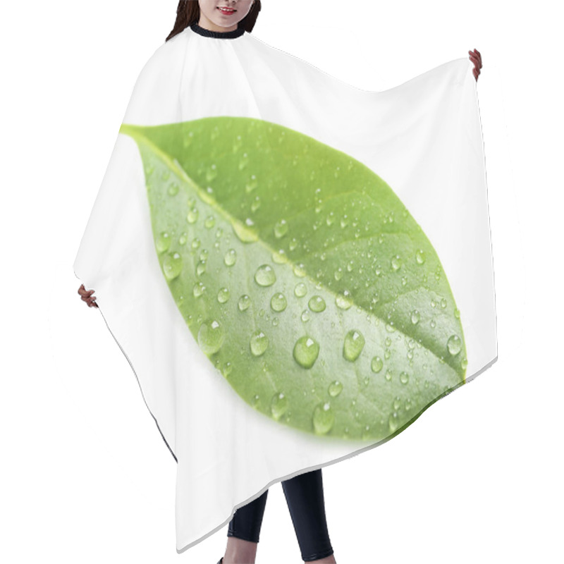 Personality  Green Leaf With Dew On White Background Hair Cutting Cape