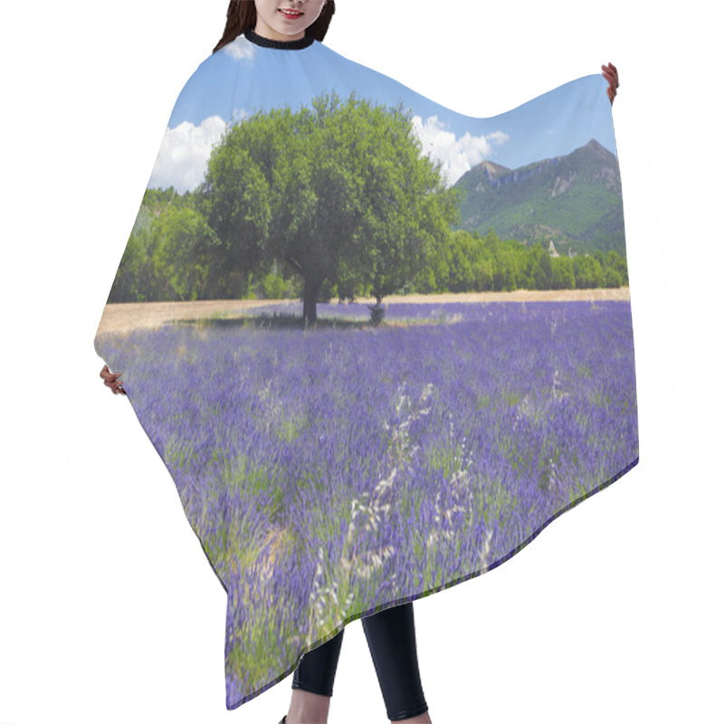 Personality  Lavender Field Hair Cutting Cape