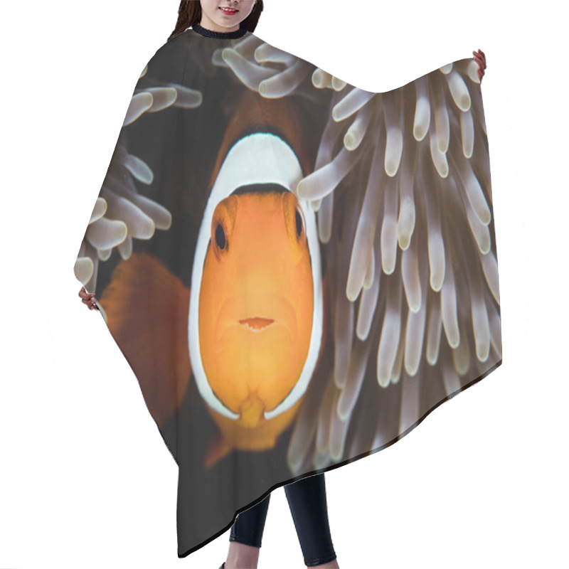 Personality  Clownfish And Anemone Tentacles Hair Cutting Cape