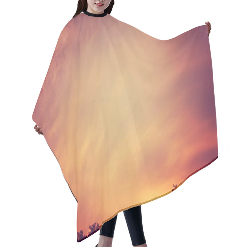 Personality  Sunset Over Treetop Hair Cutting Cape