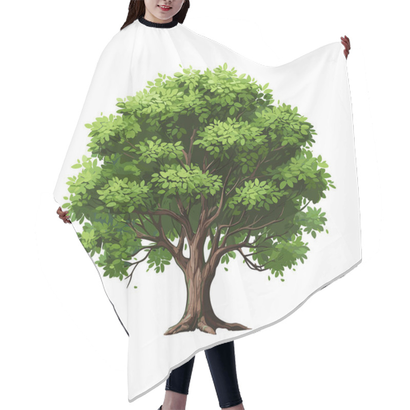 Personality  Cartoon Realistic Tree Isolated On White Background. Cute Green Plant, Forest. Can Be Used To Illustrate Any Nature Or Healthy Lifestyle Topic. Hair Cutting Cape