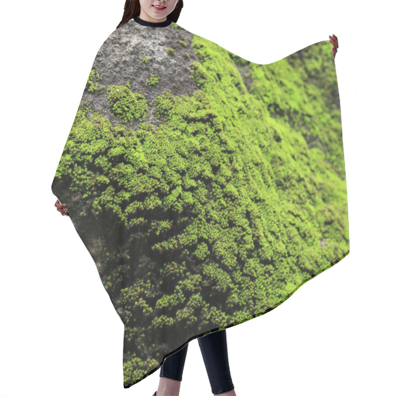 Personality  Moss On Rock Hair Cutting Cape