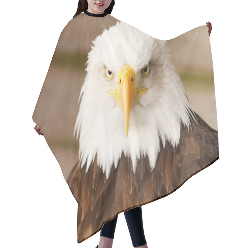 Personality  Bald Eagle Hair Cutting Cape