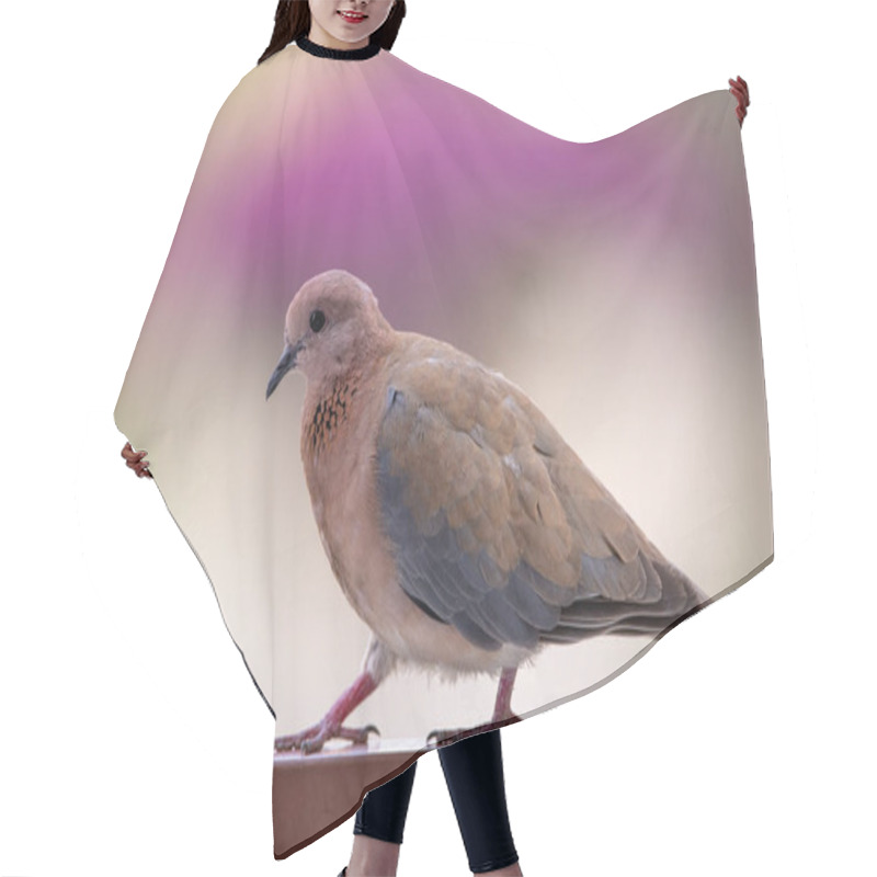 Personality  Red Turtle Dove Walking On The Metal Frame. Bird Portrait In Ext Hair Cutting Cape