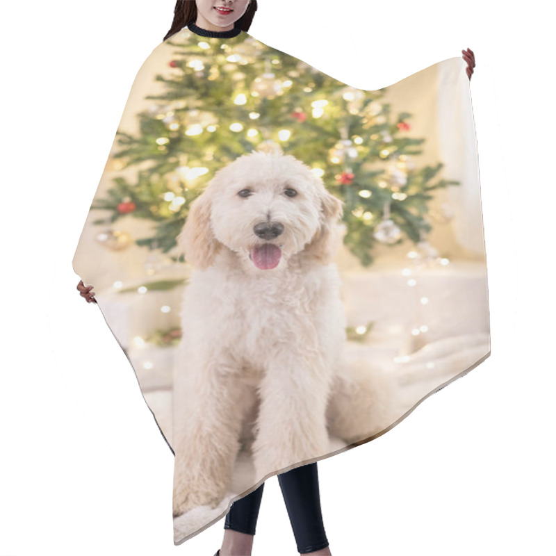 Personality  Smiling Dog Sitting In Front Of Lit Christmas Tree Hair Cutting Cape