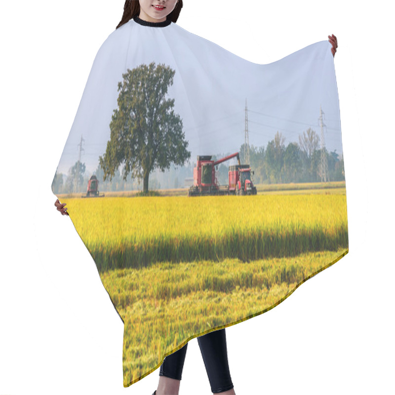 Personality  Cutting Rice Hair Cutting Cape