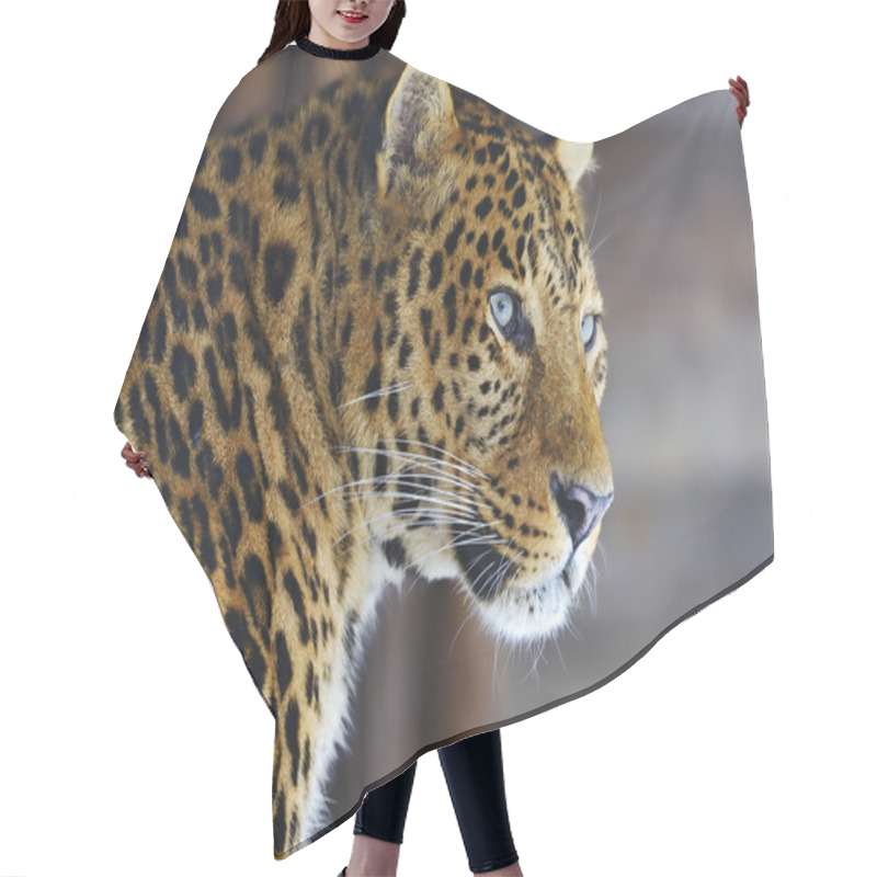 Personality  Leopard Hair Cutting Cape