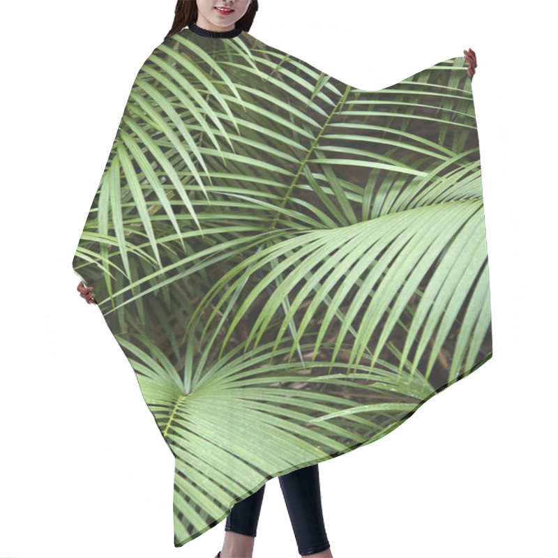 Personality  Tropical Plant. Hair Cutting Cape