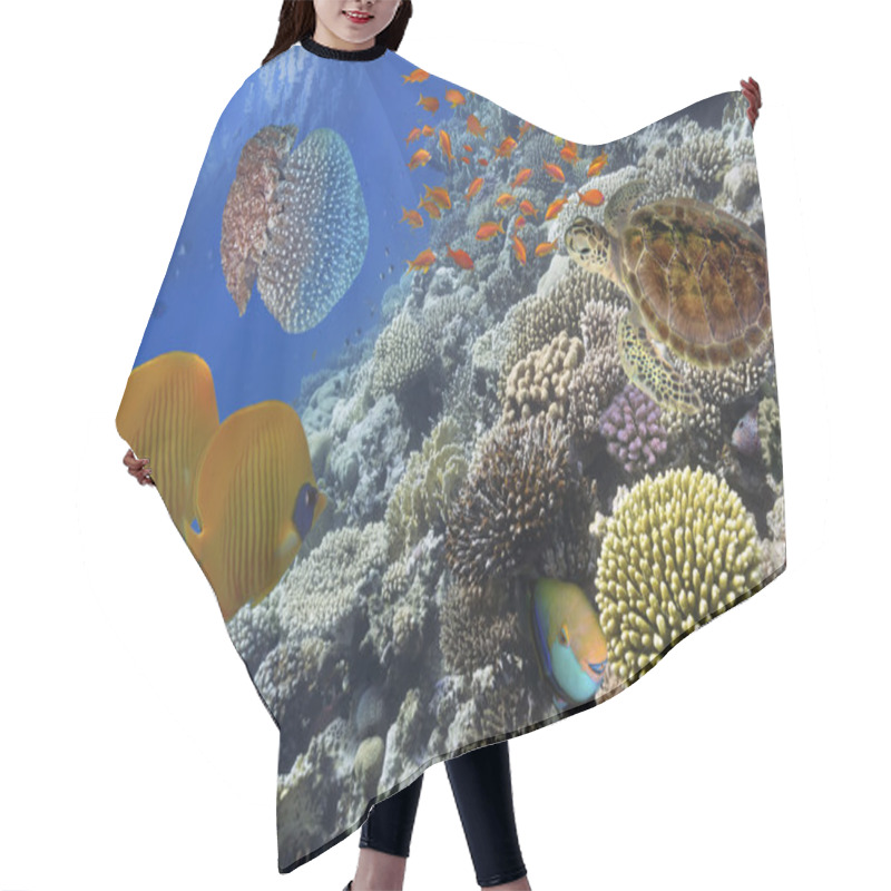 Personality  Wonderful And Beautiful Underwater World With Corals And Tropica Hair Cutting Cape