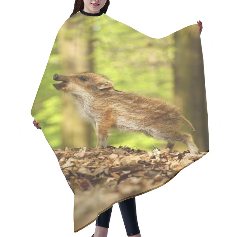 Personality  Baby Wild Boar Squealing Hair Cutting Cape