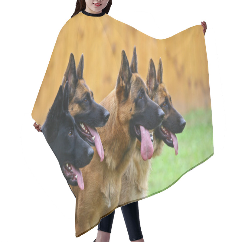 Personality  Four Dogs Hair Cutting Cape