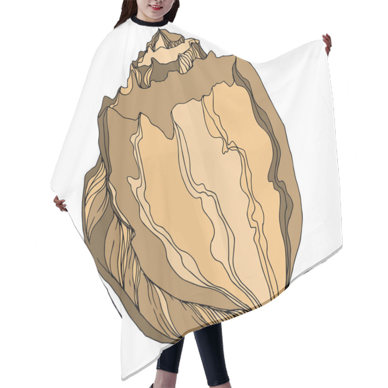 Personality  Vector Summer Beach Seashell Tropical Elements. Brown Beige Engr Hair Cutting Cape