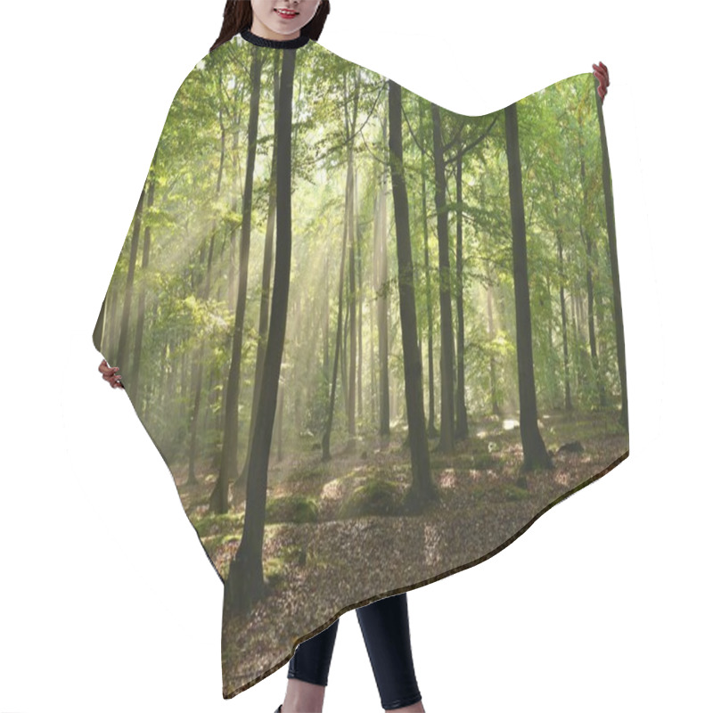 Personality  Forest Hair Cutting Cape