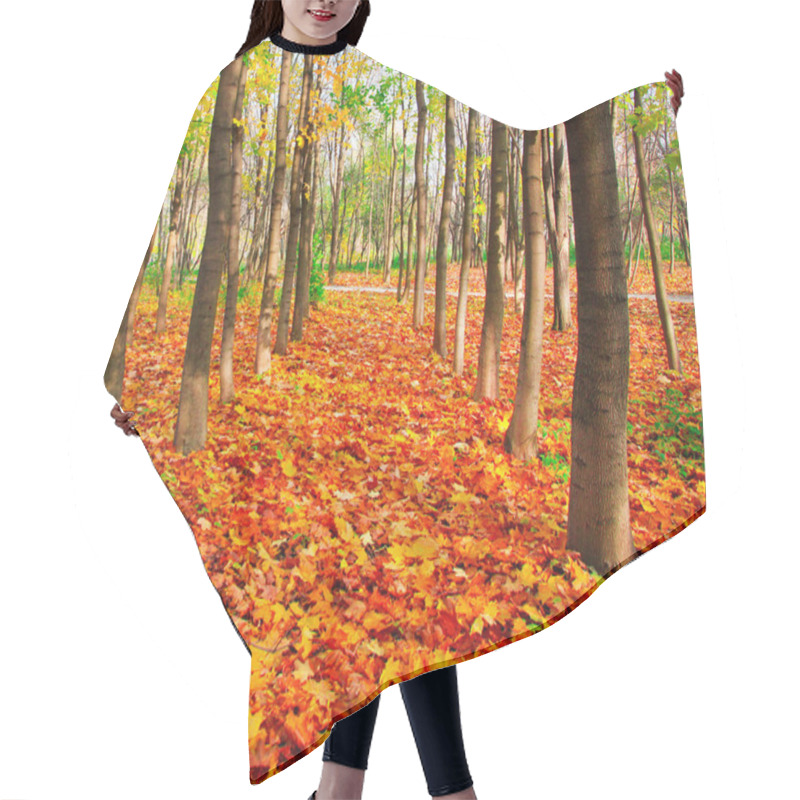 Personality  Autumn Park Hair Cutting Cape