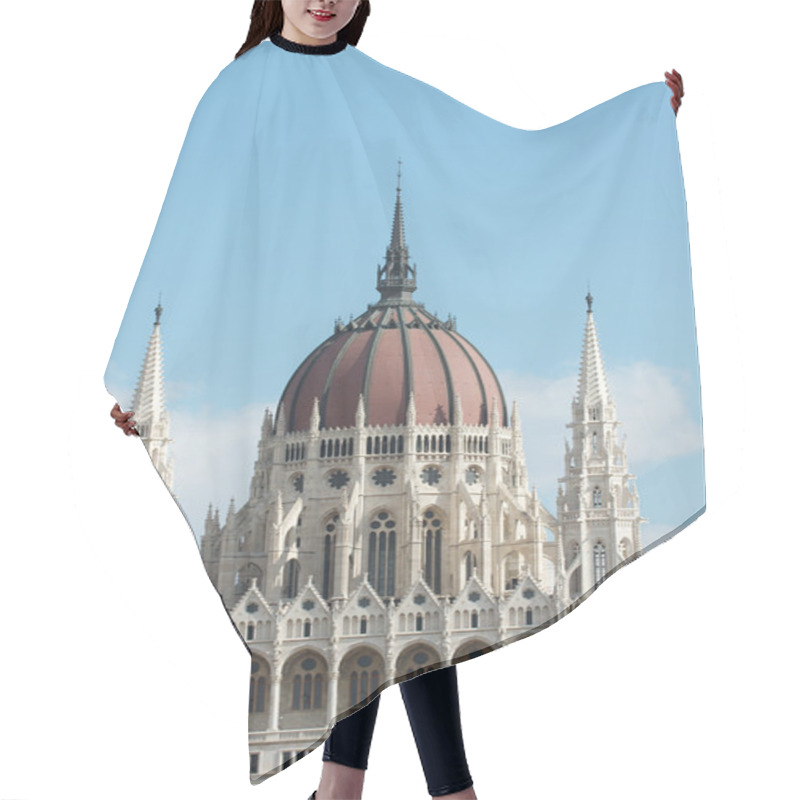 Personality  Parlament Hair Cutting Cape