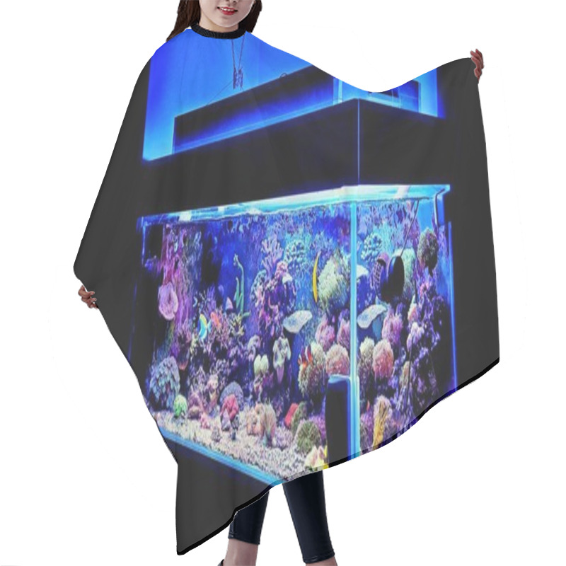 Personality  Saltwater Dream Coral Reef Aquarium Tank Scene Hair Cutting Cape