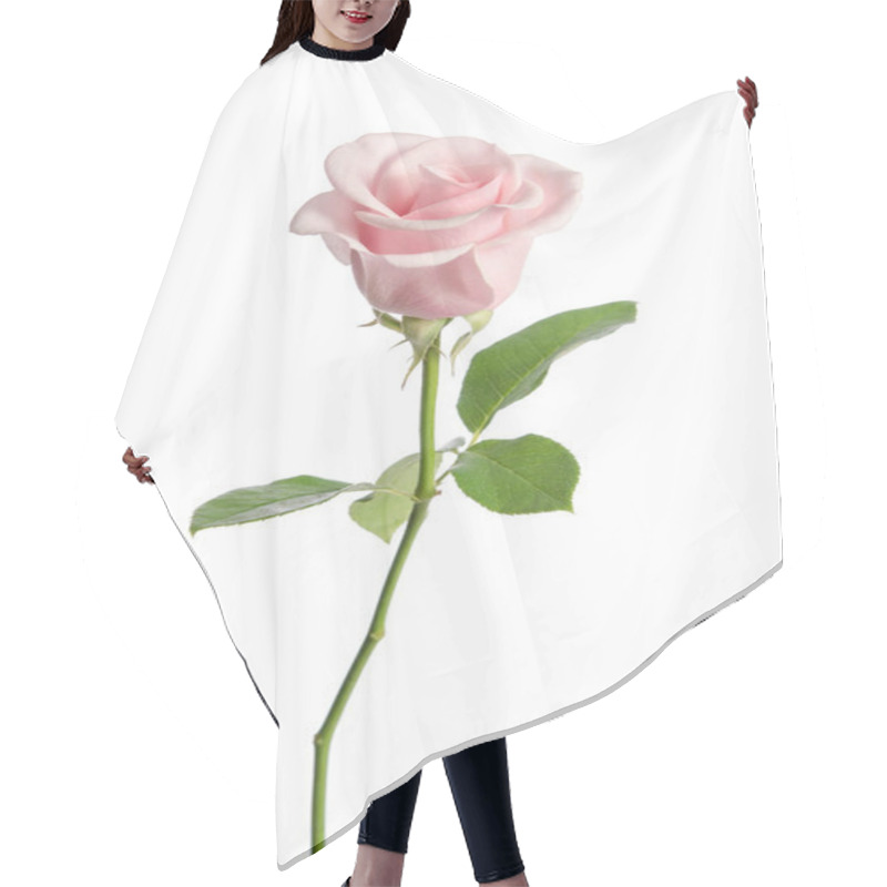 Personality  Single Pink Rose Isolated On White Background Hair Cutting Cape