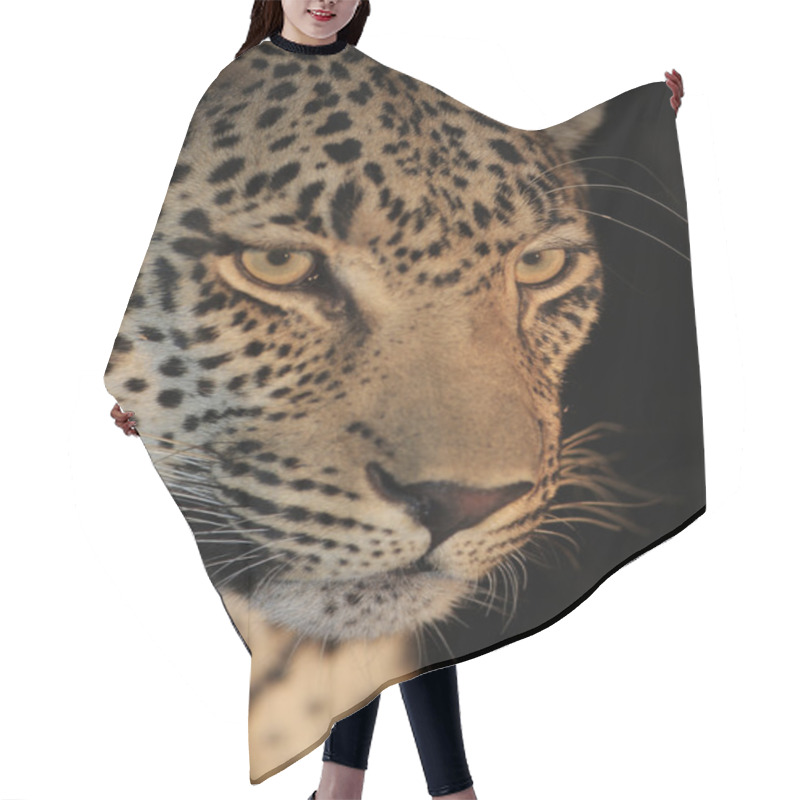 Personality  Wild African Leopard Hair Cutting Cape