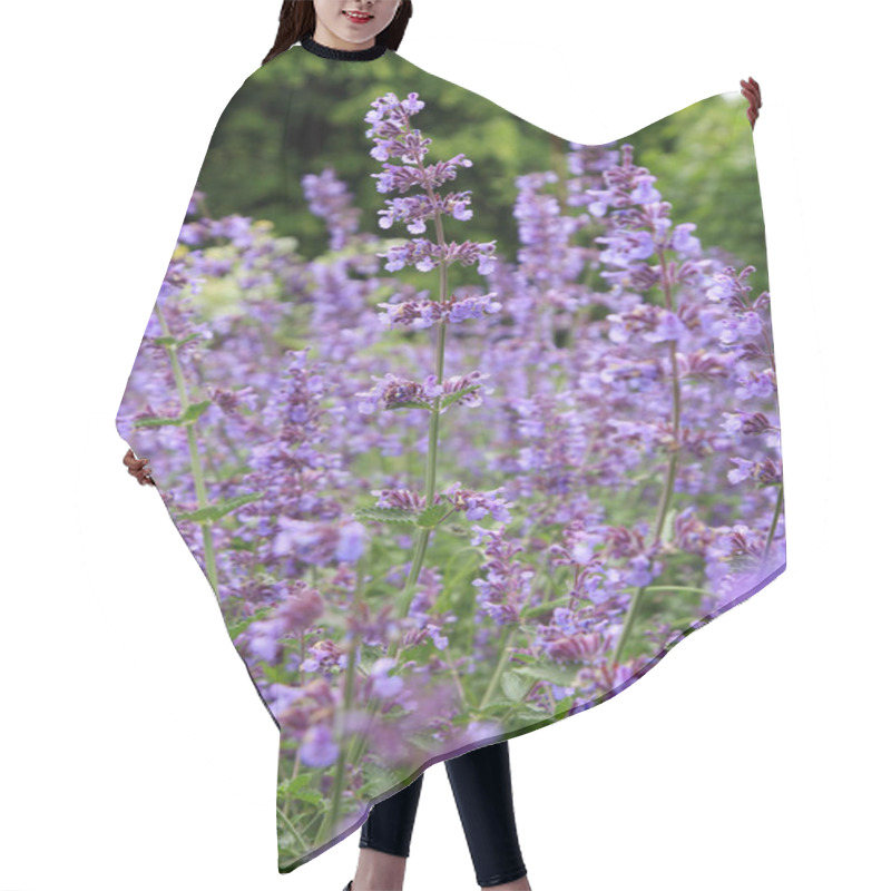 Personality  Catnip Flowers (Nepeta ) Hair Cutting Cape