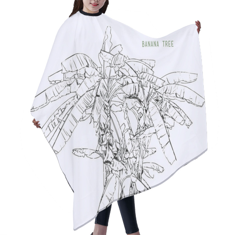 Personality  Banana Tree, Leaf Sketching Vector. Hair Cutting Cape