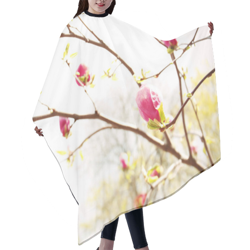 Personality  Branch With Beautiful Magnolia Tree Buds Hair Cutting Cape