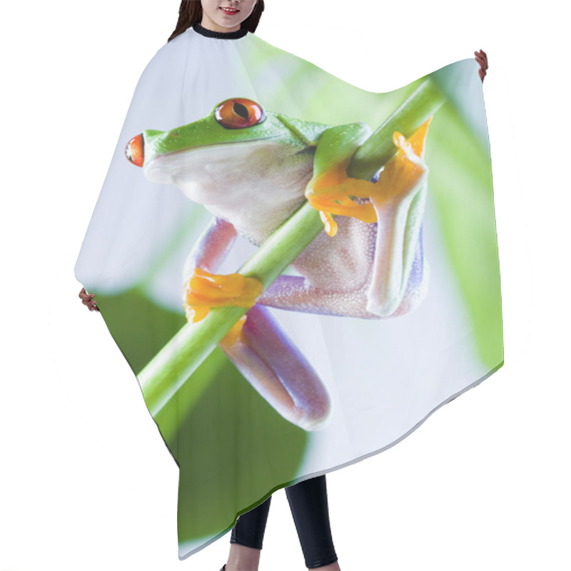 Personality  Red-eyed Frog Hair Cutting Cape