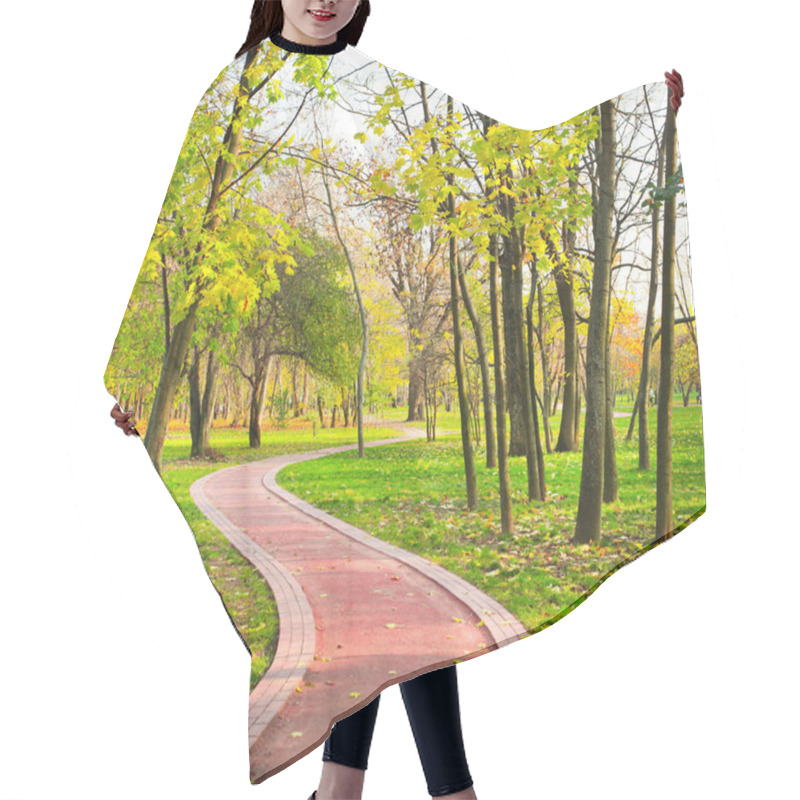 Personality  Curve Road In Rural Autumn Country Hair Cutting Cape