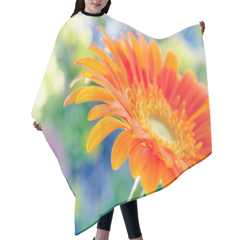 Personality  Closeup Photo Of Yellow Daisy-gerbera Hair Cutting Cape