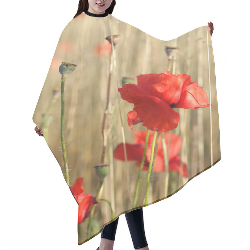 Personality  Red Poppies Hair Cutting Cape