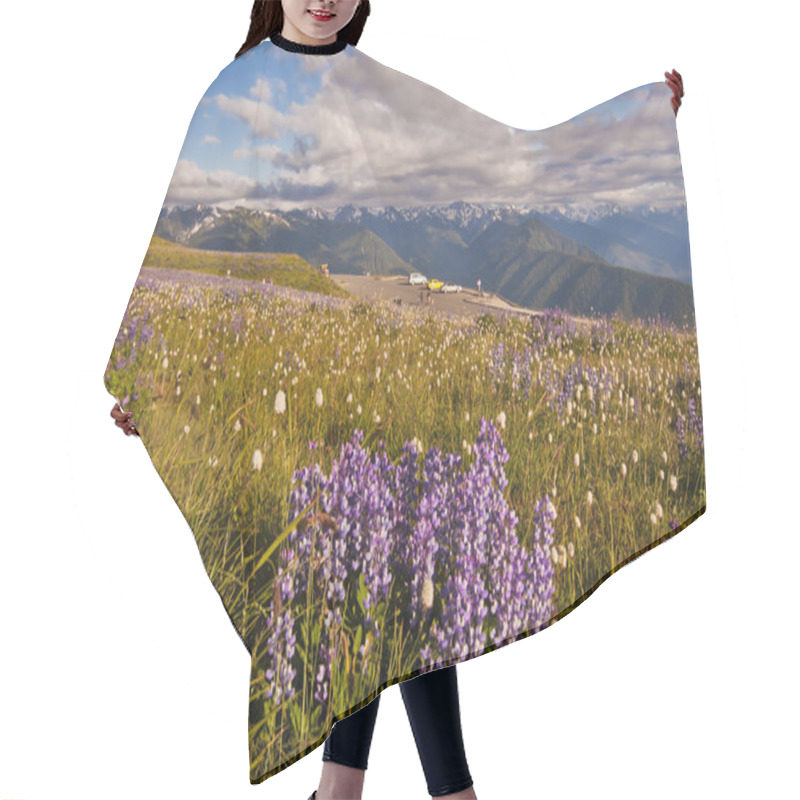 Personality  Hurricane Ridge, Olympic National Park, Washington, USA Hair Cutting Cape