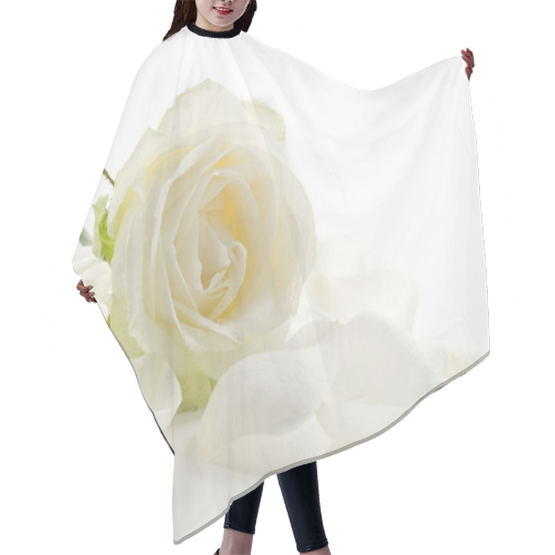 Personality  White Rose With Petals Close-up Hair Cutting Cape