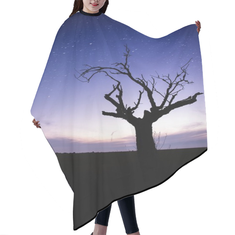 Personality  Starry Sky Over Lonely Tree Silhouette Hair Cutting Cape