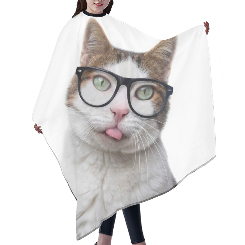 Personality  Funny Tabby Cat In Nerd Glasses Put Out His Tongue. Isolated On White Background. Hair Cutting Cape