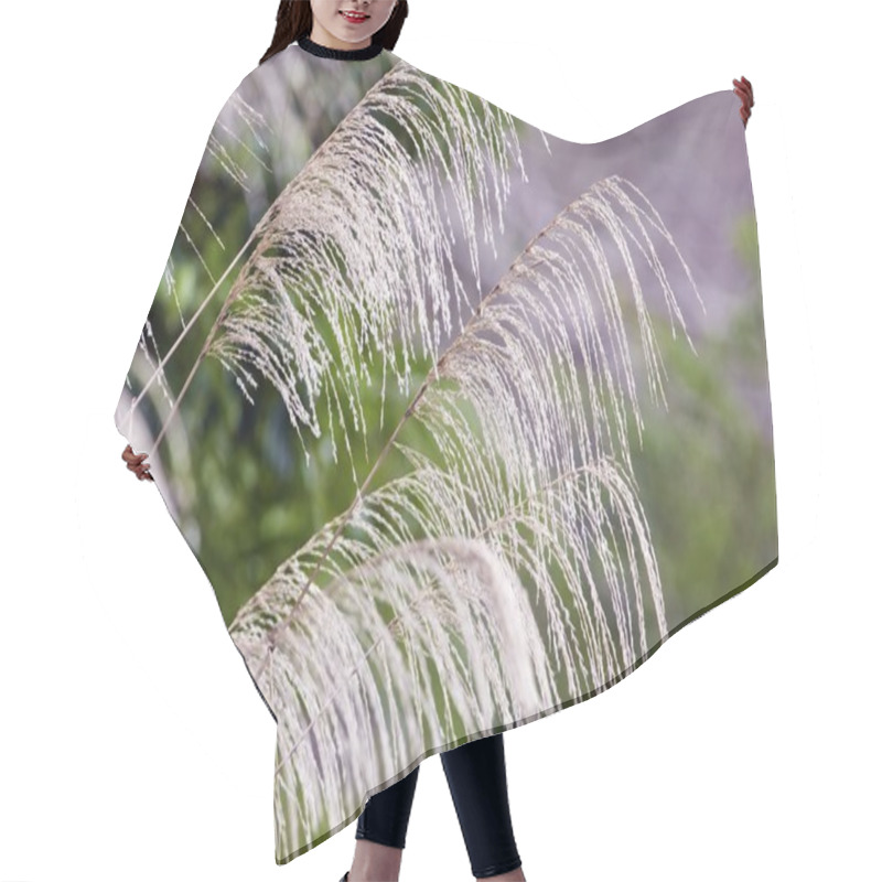 Personality  Miscanthus Hair Cutting Cape