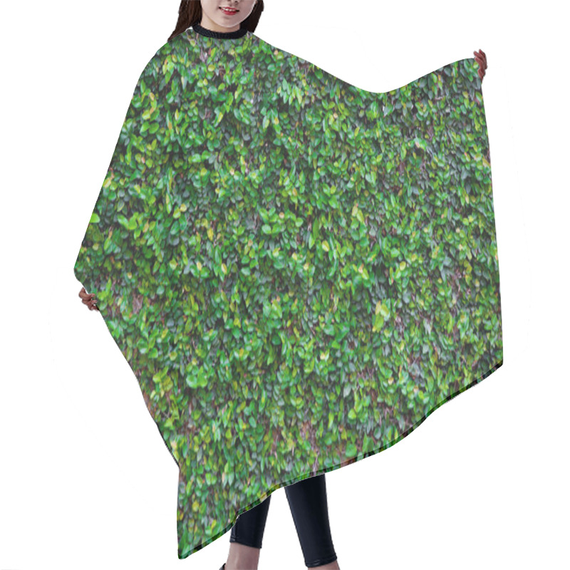 Personality  Green Creeper Texture Hair Cutting Cape