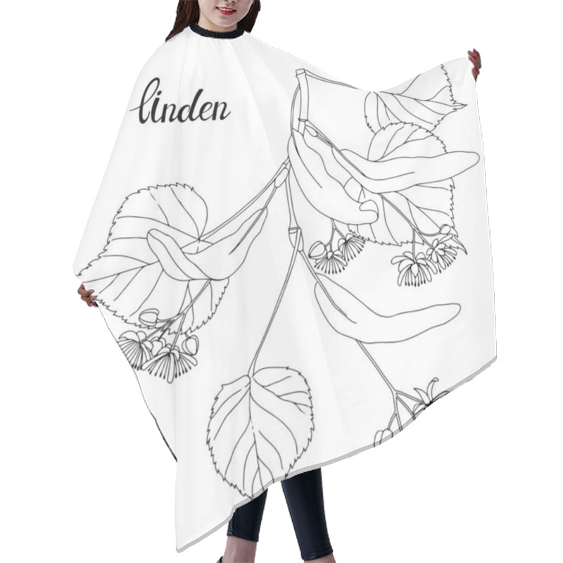 Personality  Linden Branch. Sketch.Hand Drawn Outline Vector Illustration, Isolated Floral Element For Design On White Background. Hair Cutting Cape