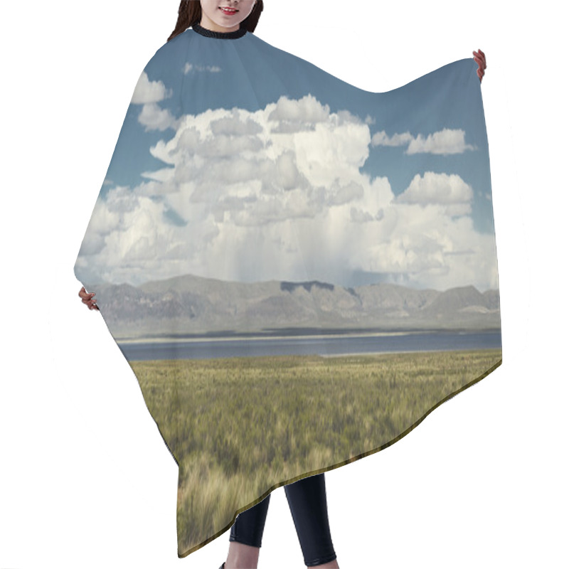 Personality  Laguna De Pozuelos Hair Cutting Cape