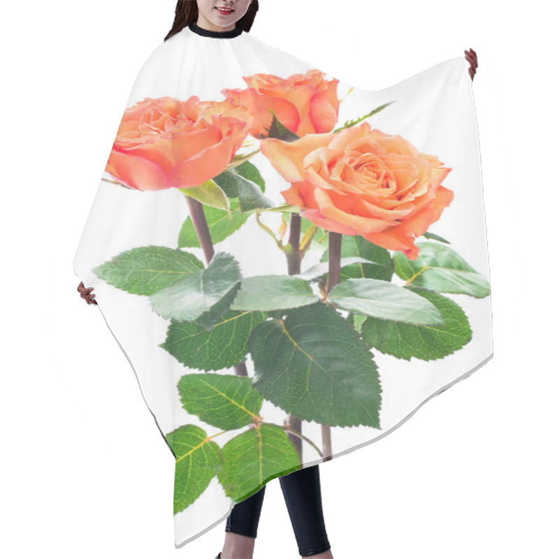 Personality  Orange Roses Hair Cutting Cape