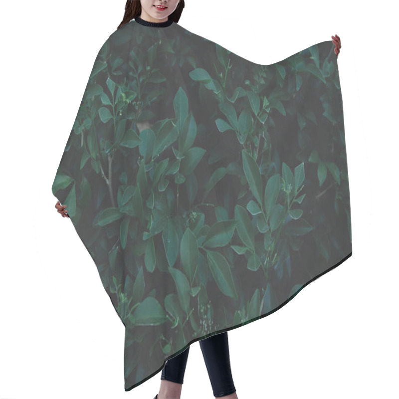 Personality  Green Leaves Pattern Background. Flat Lay. Nature Dark Green Ton Hair Cutting Cape