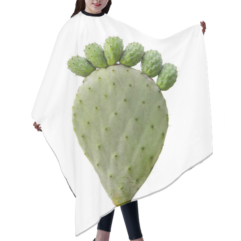 Personality  Pickly Pear Green Opuntia Cactus Paw With Fingers Isolted On White Background. Barbed Painful Feet Disease Concept Hair Cutting Cape